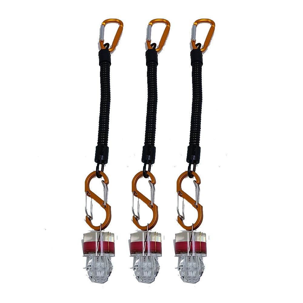 2-3PCS LED Fishing Lights With - Fish Alarm recension och pris